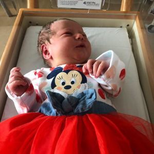 Meet your Posher, Donna